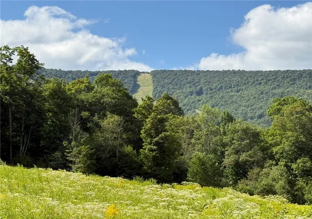 Photo 3 of Land for sale at 0 Lower Meeker Hollow Rd, Roxbury, NY 12474 | MLS# R1710290 | Listing updated on 2026-08-31