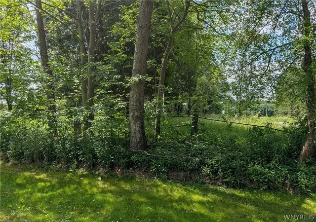 Land for sale at V/l North Hl Rd, Sinclairville, NY 14782 | MLS# B1711099