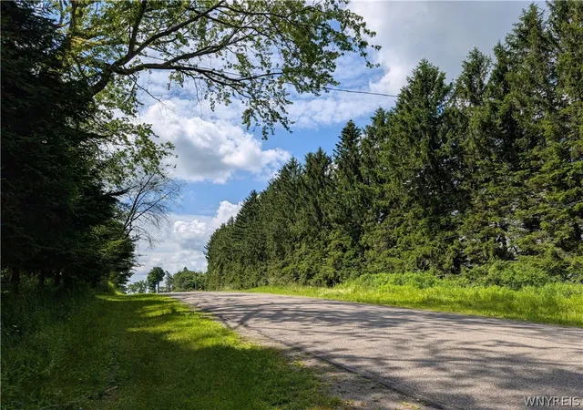 Photo 3 of Land for sale at V/l North Hl Rd, Sinclairville, NY 14782 | MLS# B1711099 | Listing updated on 2026-08-31