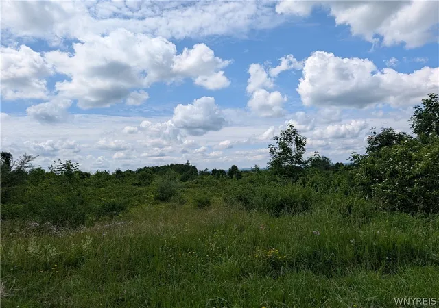 Photo 1 of Sale Pending at V/l North Hl Rd, Charlotte, NY 14782 | MLS# B1711139 | Listing updated on 2026-09-08