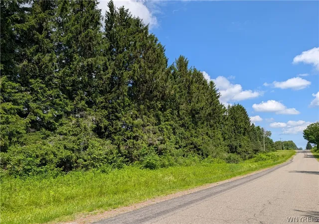 Photo 2 of Sale Pending at V/l North Hl Rd, Charlotte, NY 14782 | MLS# B1711139 | Listing updated on 2026-09-08