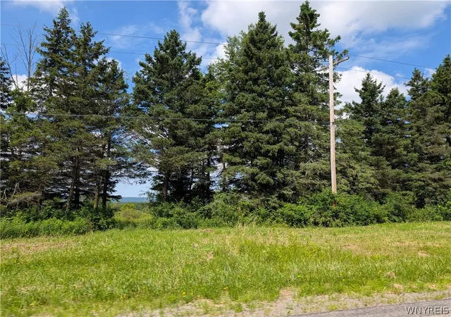 Photo 3 of Sale Pending at V/l North Hl Rd, Charlotte, NY 14782 | MLS# B1711139 | Listing updated on 2026-09-08
