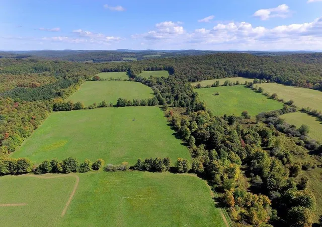 Photo 1 of Land for sale at Lot 6 County Hwy 14, Meredith, NY 13753 | MLS# R1711192 | Listing updated on 2026-09-03