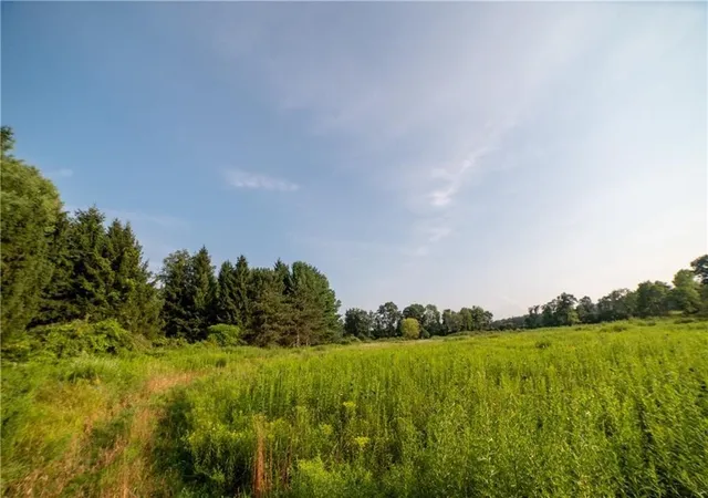 Photo 3 of Land for sale at 769 County Hwy 1, Mount Upton, NY 13809 | MLS# R1706934 | Listing updated on 2026-09-07