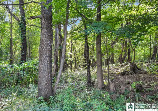 Photo 4 of Land for sale at 7883 Thayer Rd, Portland, NY 14769 | MLS# R1710945 | Listing updated on 2026-09-06