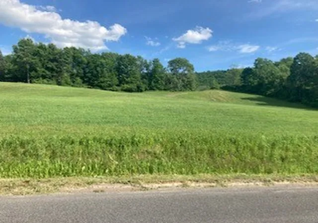 Photo 1 of Land for sale at River Rd, Mount Upton, NY 13809 | MLS# R1711361 | Listing updated on 2026-09-10