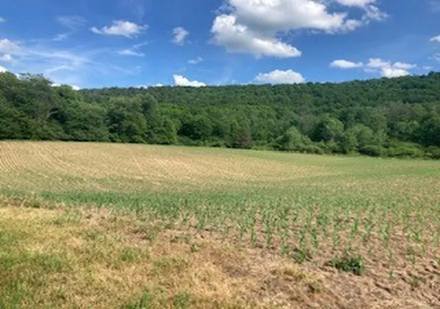 Photo 2 of Land for sale at River Rd, Mount Upton, NY 13809 | MLS# R1711361 | Listing updated on 2026-09-10