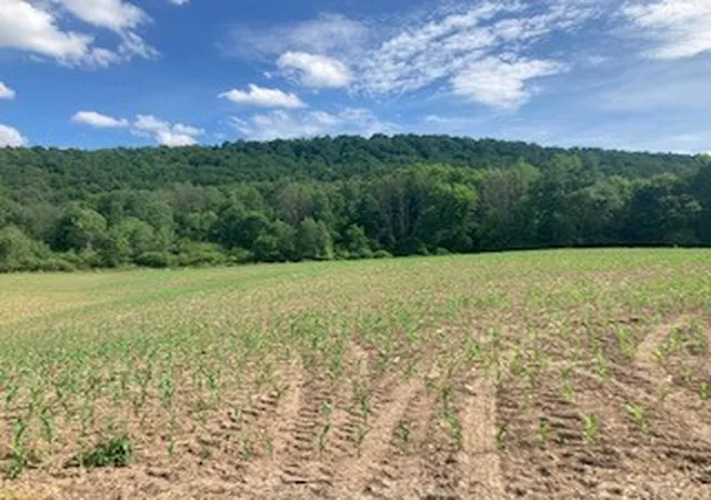 Photo 3 of Land for sale at River Rd, Mount Upton, NY 13809 | MLS# R1711361 | Listing updated on 2026-09-10