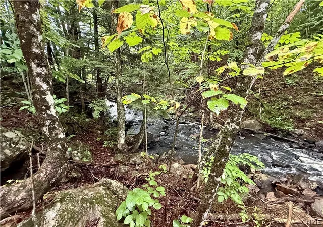 Photo 3 of Manufactured home for sale at 399 California Rd, Gouverneur, NY 13642 | MLS# S1711441 | Listing updated on 2026-09-01