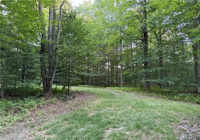 Photo 1 of Land for sale at Lot 1 River Rd, Boonville, NY 13309 | MLS# S1710836 | Listing updated on 2026-09-03
