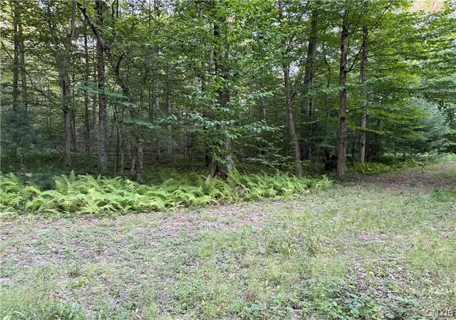 Photo 2 of Land for sale at Lot 1 River Rd, Boonville, NY 13309 | MLS# S1710836 | Listing updated on 2026-09-03