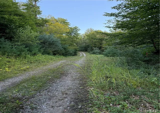 Photo 1 of Land for sale at Lot #2 River Rd, Boonville, NY 13309 | MLS# S1710838 | Listing updated on 2026-09-03