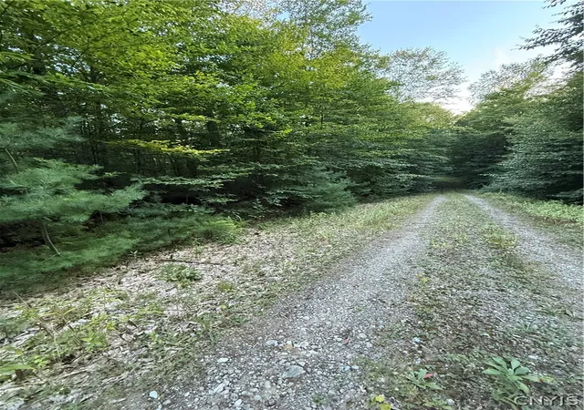 Photo 2 of Land for sale at Lot #2 River Rd, Boonville, NY 13309 | MLS# S1710838 | Listing updated on 2026-09-03