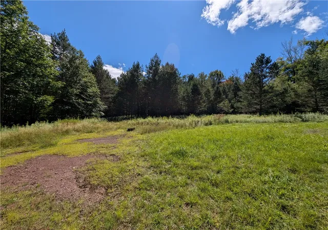Photo 1 of Land for sale at 352 Tower Mountain Rd, Jewett, NY 12444 | MLS# R1711393 | Listing updated on 2026-09-01