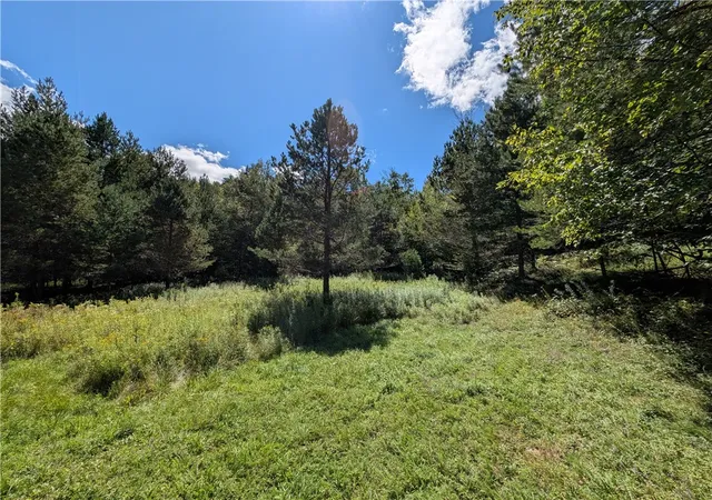 Photo 3 of Land for sale at 352 Tower Mountain Rd, Jewett, NY 12444 | MLS# R1711393 | Listing updated on 2026-09-01