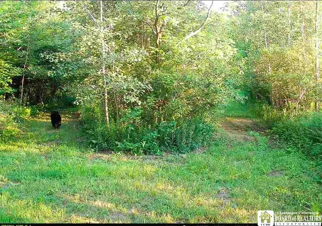 Photo 2 of Land for sale at Route 430, Mina, NY 14736 | MLS# R1711249 | Listing updated on 2026-09-10
