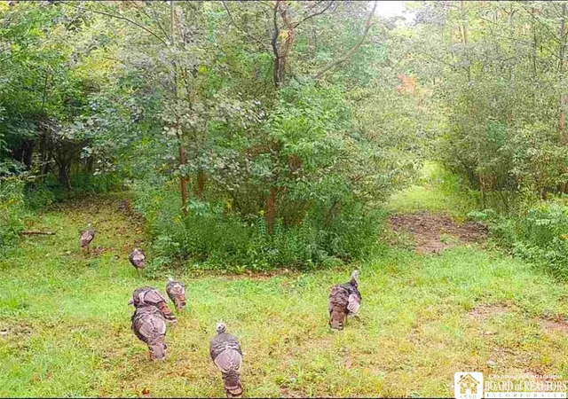 Photo 3 of Land for sale at Route 430, Mina, NY 14736 | MLS# R1711249 | Listing updated on 2026-09-10