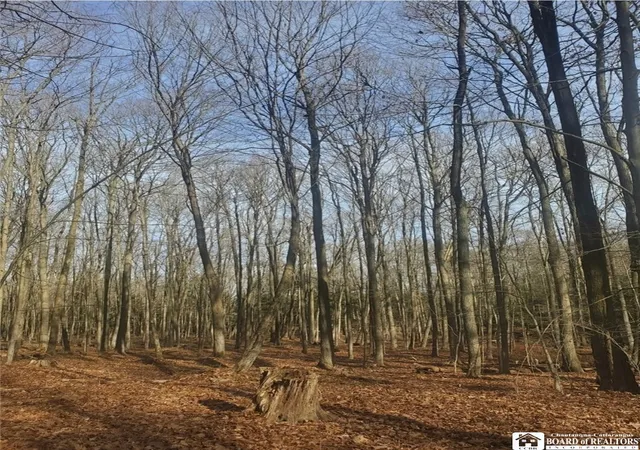 Photo 4 of Land for sale at Route 430, Mina, NY 14736 | MLS# R1711249 | Listing updated on 2026-09-10