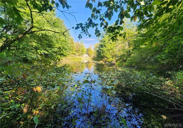 Photo 4 of Sale Pending at 8486 Feddick Rd, Hamburg, NY 14075 | MLS# B1711525 | Listing updated on 2026-09-10