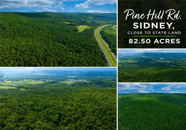 Photo 1 of Land for sale at 0 Pine Hl Rd, Sidney, NY 13838 | MLS# R1711561 | Listing updated on 2026-09-02