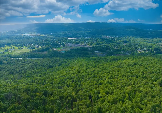 Photo 2 of Land for sale at 0 Pine Hl Rd, Sidney, NY 13838 | MLS# R1711561 | Listing updated on 2026-09-02