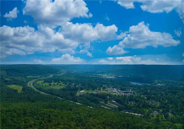 Photo 3 of Land for sale at 0 Pine Hl Rd, Sidney, NY 13838 | MLS# R1711561 | Listing updated on 2026-09-02