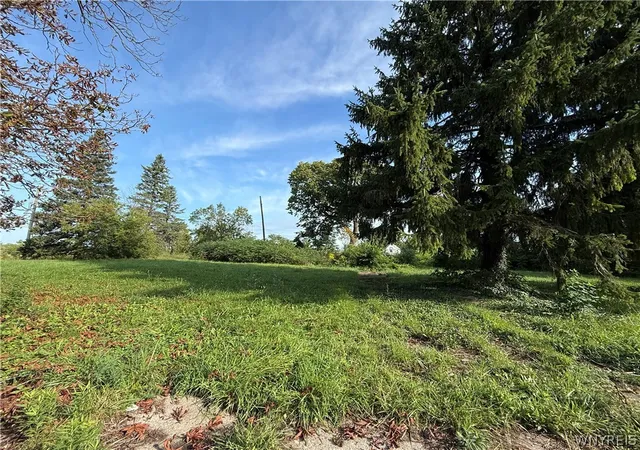 Photo 1 of Land for sale at 718 Willow Ave, Niagara Falls, NY 14305 | MLS# B1711262 | Listing updated on 2026-09-09