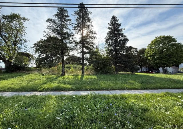 Photo 4 of Land for sale at 718 Willow Ave, Niagara Falls, NY 14305 | MLS# B1711262 | Listing updated on 2026-09-09