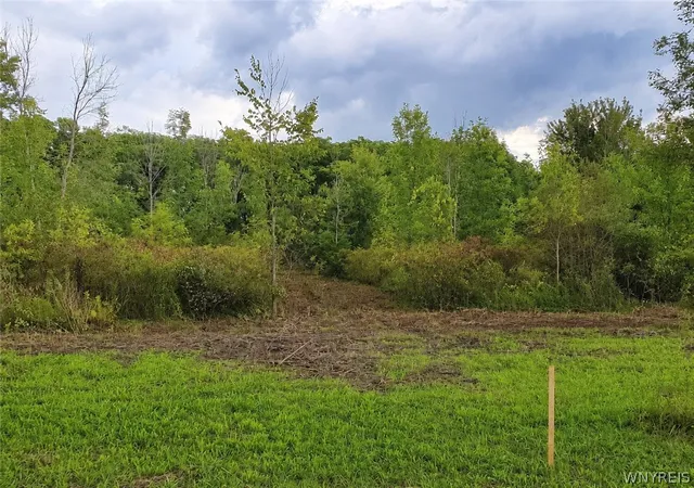 Photo 1 of Land for sale at 9970 Tonawanda Crk Rd N, Clarence Center, NY 14032 | MLS# B1712433 | Listing updated on 2026-09-14