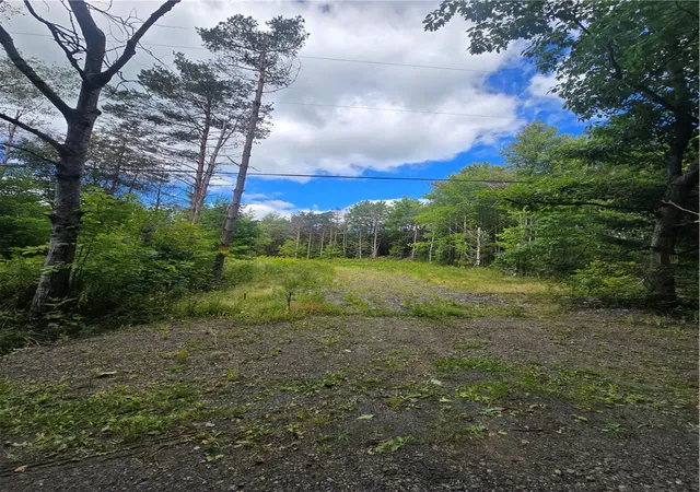 Photo 1 of Land for sale at 213 Geiss Rd, Harpursville, NY 13787 | MLS# R1712706 | Listing updated on 2026-09-07