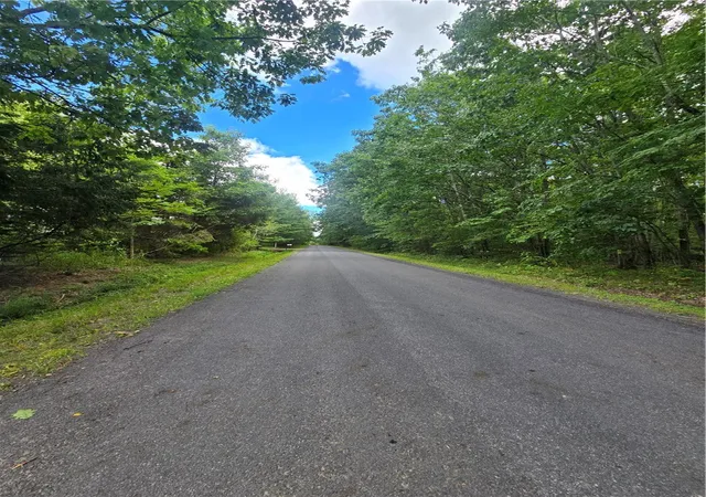 Photo 3 of Land for sale at 213 Geiss Rd, Harpursville, NY 13787 | MLS# R1712706 | Listing updated on 2026-09-07