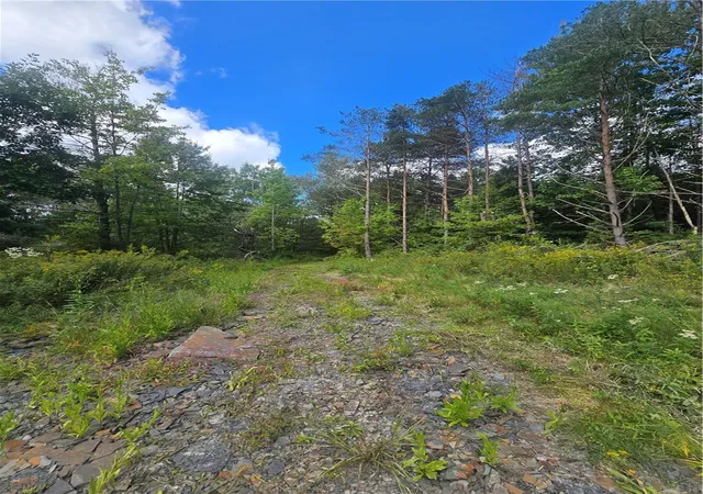 Photo 4 of House for sale at 213 Geiss Rd, Harpursville, NY 13787 | MLS# R1712706 | Listing updated on 2026-09-07