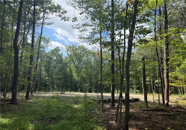 Photo 1 of Land for sale at 000/lot 6 Prospect Ridge, Horseheads, NY 14845 | MLS# R1712577 | Listing updated on 2026-09-08