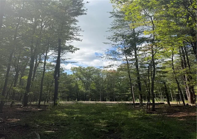 Photo 3 of Land for sale at 000/lot 6 Prospect Ridge, Horseheads, NY 14845 | MLS# R1712577 | Listing updated on 2026-09-08