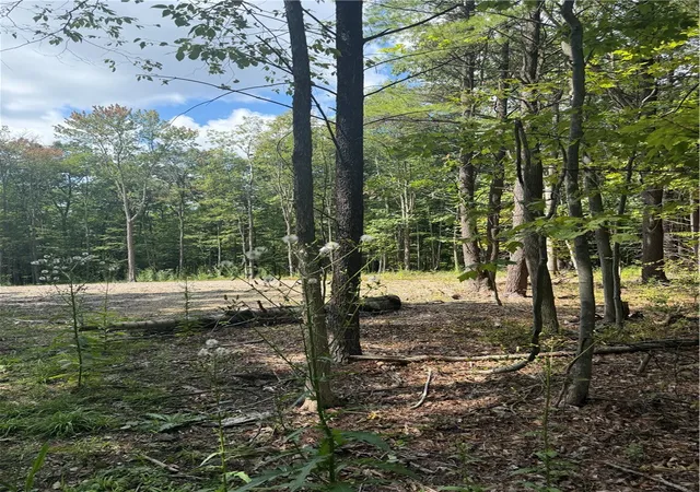 Photo 3 of Land for sale at 000/lot 6 Prospect Ridge, Horseheads, NY 14845 | MLS# R1712577 | Listing updated on 2026-09-08