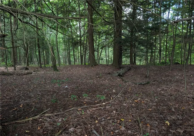 Photo 3 of Land for sale at Jennison Rd, New Berlin, NY 13411 | MLS# R1712816 | Listing updated on 2026-09-08
