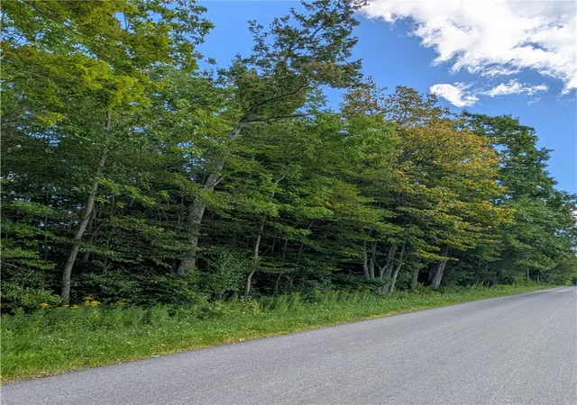 Photo 3 of Land for sale at Jennison Rd, New Berlin, NY 13411 | MLS# R1712816 | Listing updated on 2026-09-08