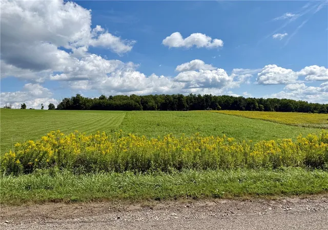Land for sale at 0 Tucker Rd E, Campbell, NY 14821 | MLS# R1713865 | Listing updated on 2026-09-10