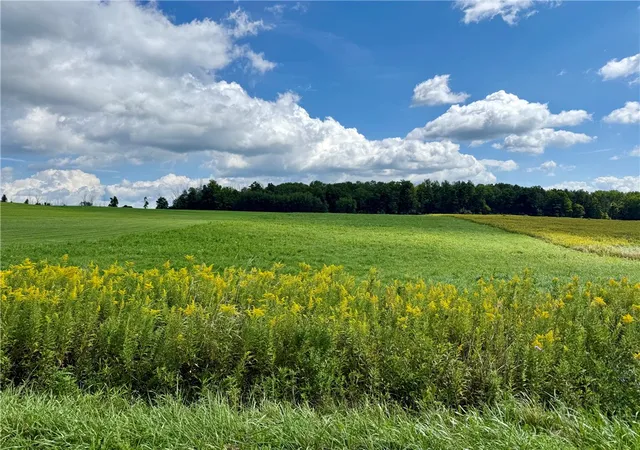 Photo 2 of Land for sale at 0 Tucker Rd E, Campbell, NY 14821 | MLS# R1713865 | Listing updated on 2026-09-10