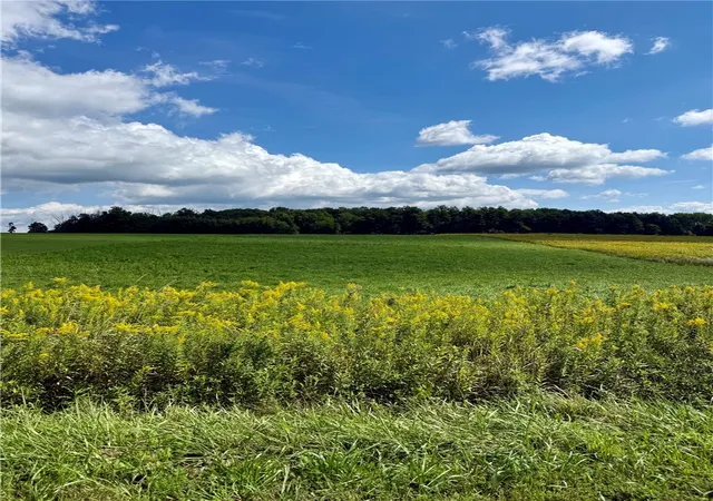 Photo 3 of Land for sale at 0 Tucker Rd E, Campbell, NY 14821 | MLS# R1713865 | Listing updated on 2026-09-10