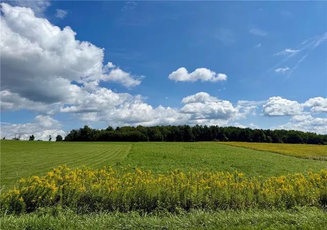 Photo 4 of Land for sale at 0 Tucker Rd E, Campbell, NY 14821 | MLS# R1713865 | Listing updated on 2026-09-10