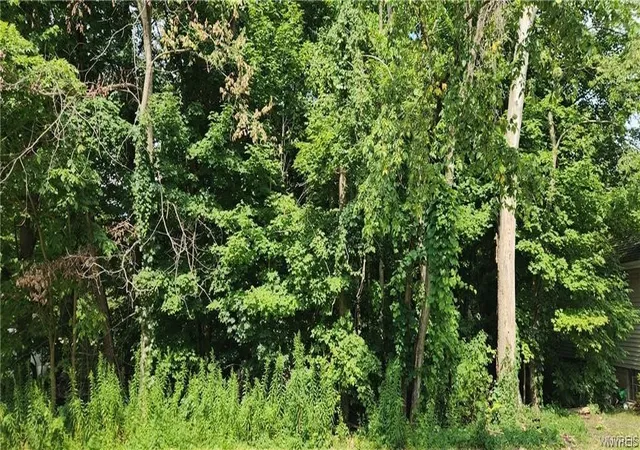 Photo 1 of Land for sale at V/l Boston State Rd, Boston, NY 14025 | MLS# B1713907 | Listing updated on 2026-09-11