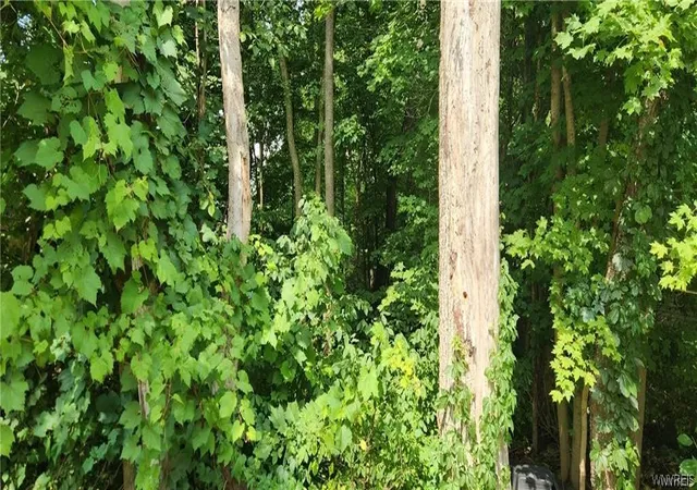 Photo 3 of Land for sale at V/l Boston State Rd, Boston, NY 14025 | MLS# B1713907 | Listing updated on 2026-09-11