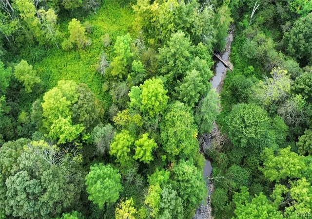 Photo 2 of Land for sale at 3616 Cheningo Solon Pond Rd, Cincinnatus, NY 13040 | MLS# S1714041 | Listing updated on 2026-09-11