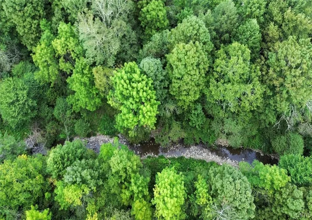 Photo 3 of Land for sale at 3616 Cheningo Solon Pond Rd, Cincinnatus, NY 13040 | MLS# S1714041 | Listing updated on 2026-09-11