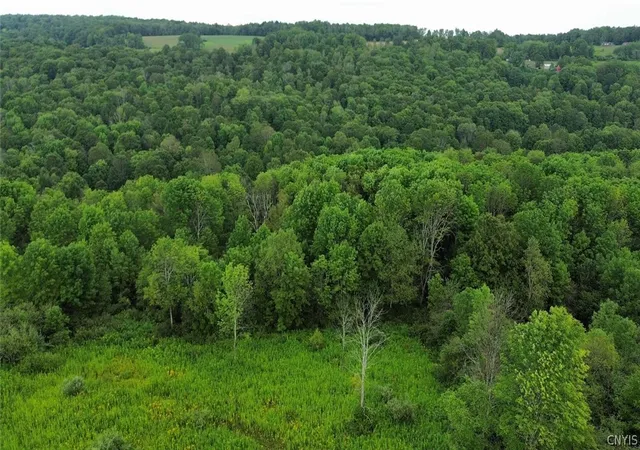 Photo 3 of Land for sale at 3616 Cheningo Solon Pond Rd, Cincinnatus, NY 13040 | MLS# S1714041 | Listing updated on 2026-09-11