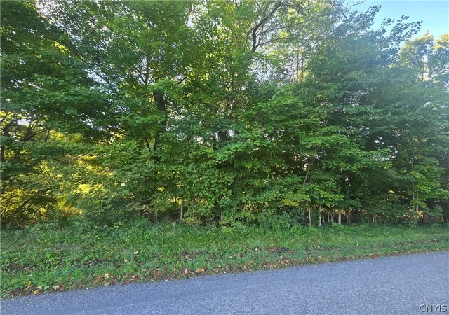 Photo 3 of Land for sale at 885 Kibby Rd, Baldwinsville, NY 13027 | MLS# S1714241 | Listing updated on 2026-09-14
