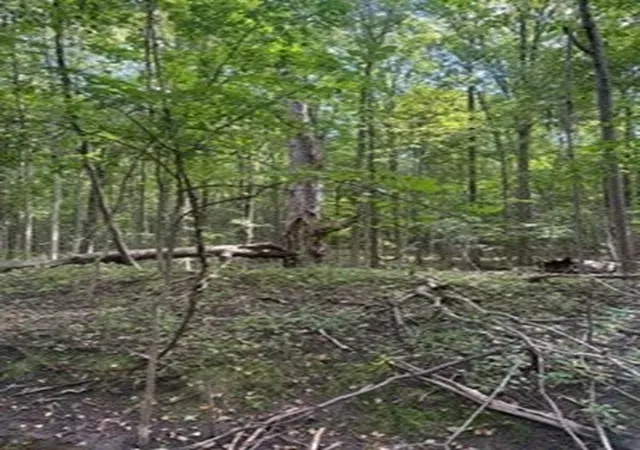 Photo 3 of Land for sale at Garden St, Avon, NY 14414 | MLS# R1714691 | Listing updated on 2026-09-16