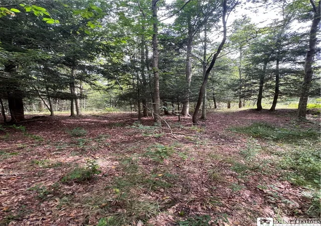 Photo 2 of Land for sale at 8393 Kelly Hl Rd, Fredonia, NY 14063 | MLS# R1714465 | Listing updated on 2026-09-16