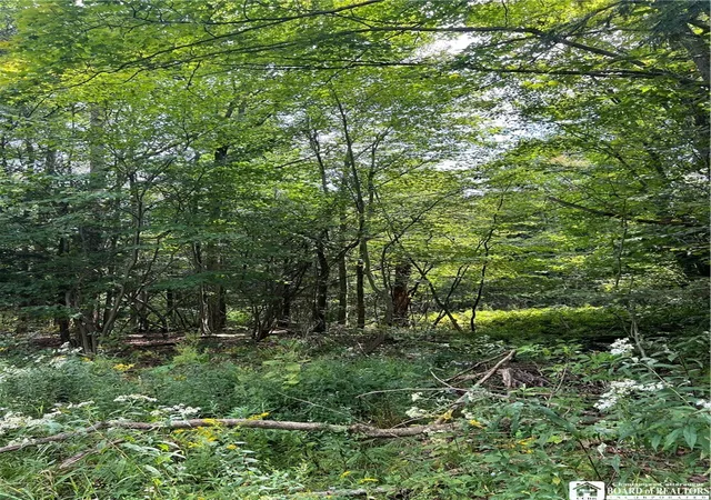 Photo 3 of Land for sale at 8393 Kelly Hl Rd, Fredonia, NY 14063 | MLS# R1714465 | Listing updated on 2026-09-16